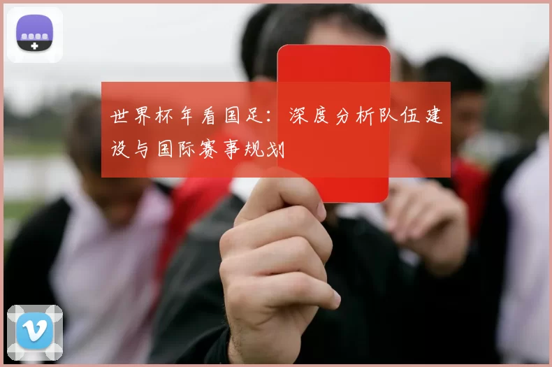 世界杯年看国足:深度分析队伍建设与国际赛事规划