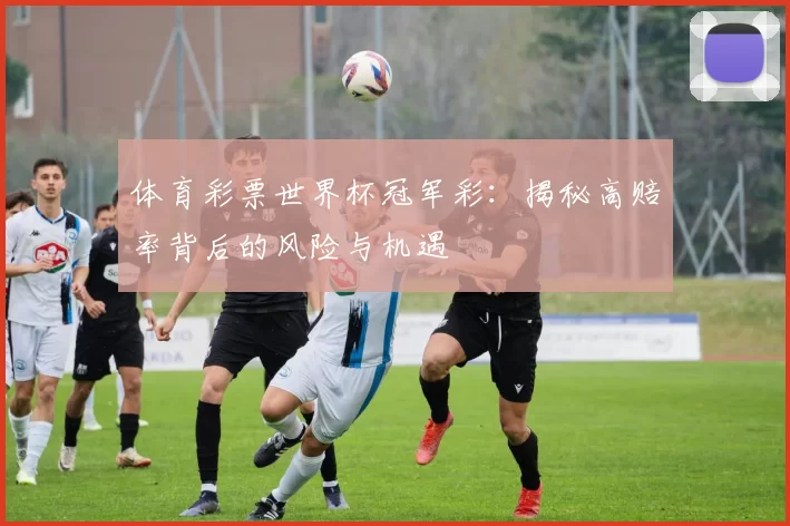体育彩票世界杯冠军彩:揭秘高赔率背后的风险与机遇