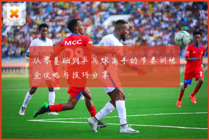 从零基础到乒乓球高手的节奏训练全攻略与技巧分享