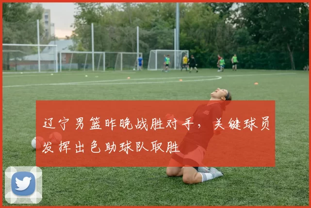 辽宁男篮昨晚战胜对手,关键球员发挥出色助球队取胜