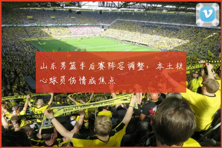 山东男篮季后赛阵容调整,本土核心球员伤情成焦点