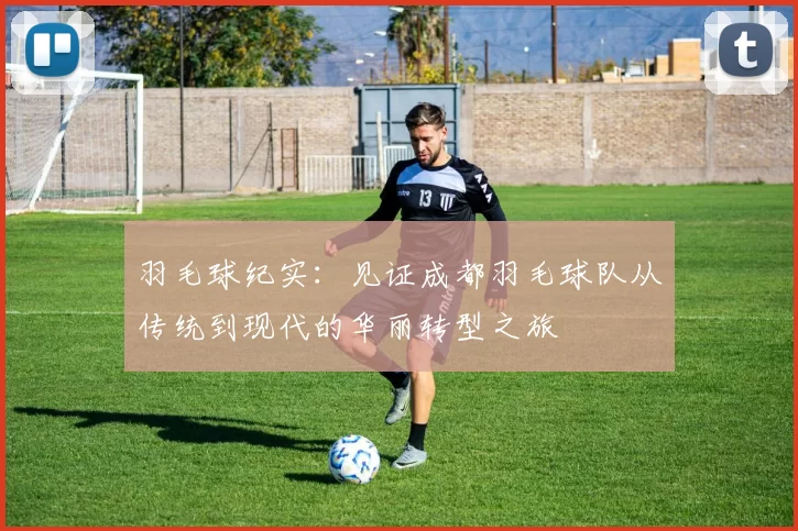 羽毛球纪实:见证成都羽毛球队从传统到现代的华丽转型之旅
