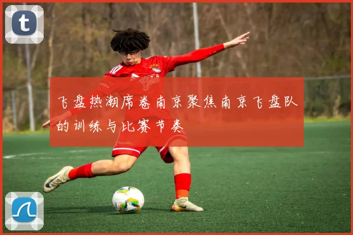 飞盘热潮席卷南京聚焦南京飞盘队的训练与比赛节奏