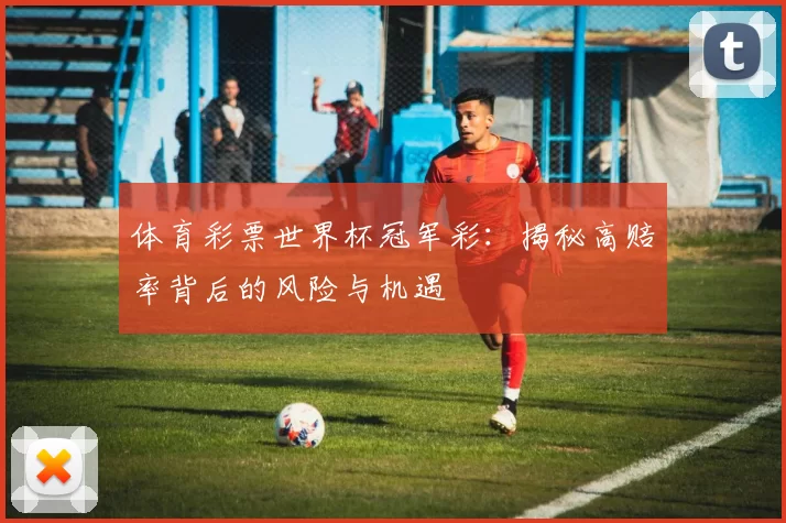 体育彩票世界杯冠军彩：揭秘高赔率背后的风险与机遇