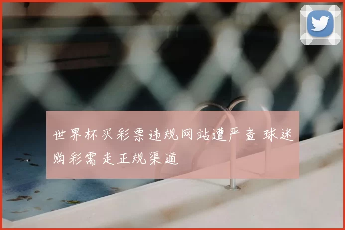 世界杯买彩票违规网站遭严查 球迷购彩需走正规渠道