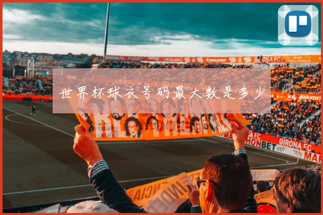 世界杯球衣号码最大数是多少