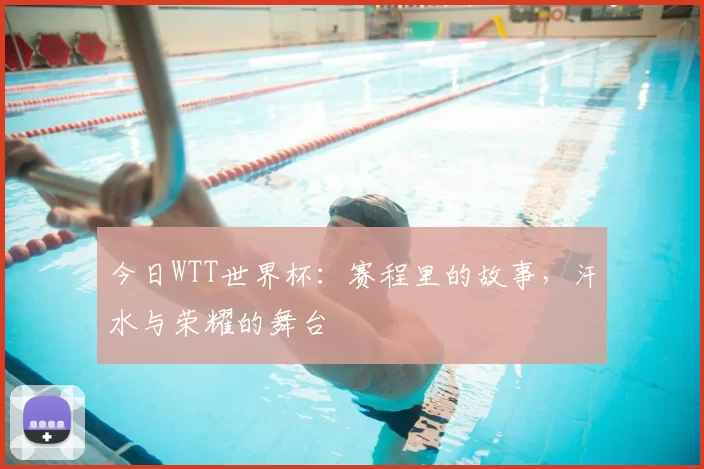 今日WTT世界杯:赛程里的故事,汗水与荣耀的舞台