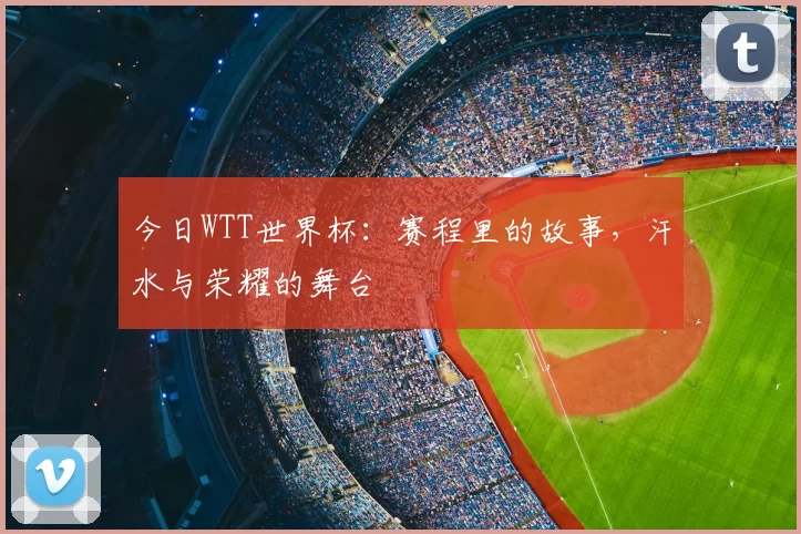 今日WTT世界杯:赛程里的故事,汗水与荣耀的舞台
