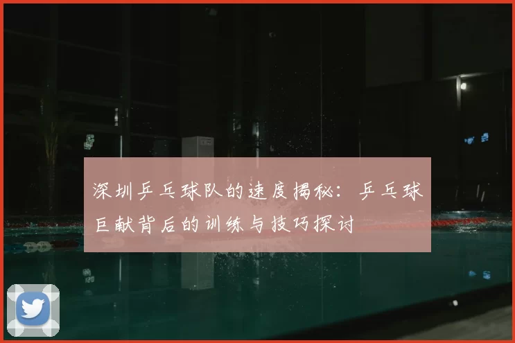 深圳乒乓球队的速度揭秘：乒乓球巨献背后的训练与技巧探讨